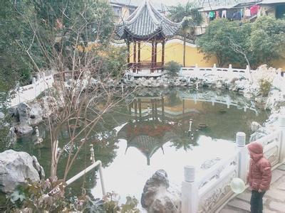 迎江天气预报10天查询