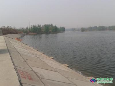 西工天气预报10天查询