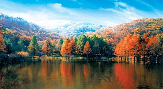 嵩县天气预报10天查询