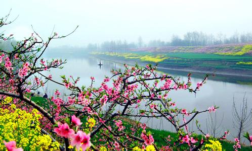 西华天气预报10天查询