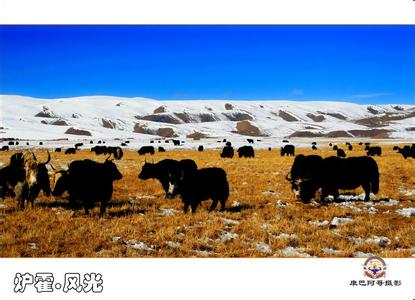 炉霍天气预报10天查询