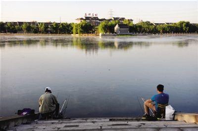 高碑店天气预报30天查询,高碑店市一个月天气
