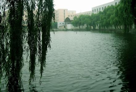 仪征天气预报30天查询,仪征市一个月天气