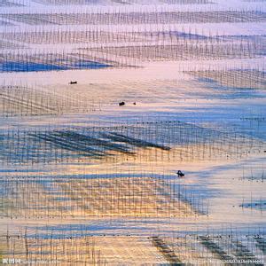 霞浦天气预报30天查询,霞浦县一个月天气