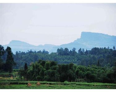 峨山天气预报30天查询,峨山县一个月天气