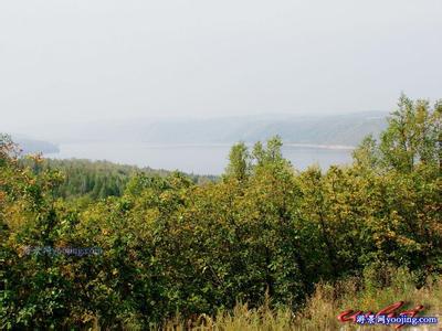 黑河爱辉天气预报_爱辉天气预报一周7天10天15天黑河爱辉天气预报,爱辉天气预报一周7天10天15天