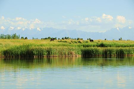 酒泉肃州天气预报_肃州天气预报一周7天10天15天酒泉肃州天气预报,肃州天气预报一周7天10天15天