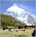 日喀则门隆则峰天气 日喀则门隆则峰天气