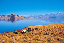 阿里拉昂错天气 阿里拉昂错天气