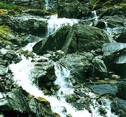 林芝娘蒲沟天气 林芝娘蒲沟天气