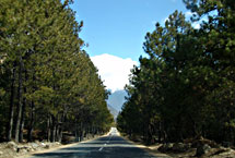 林芝密林天气 林芝密林天气