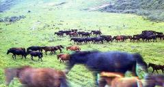 天水牧马滩天气 天水牧马滩天气