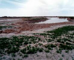 玉门干海子天气 玉门干海子天气