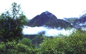 酒泉关山森林公园天气 酒泉关山森林公园天气