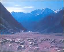 张掖焉支山天气 张掖焉支山天气