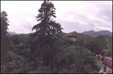 定西遮阳山天气 定西遮阳山天气