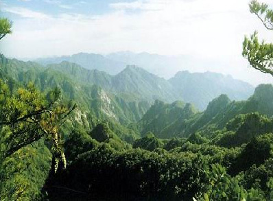 庆阳夏家沟森林公园天气 庆阳夏家沟森林公园天气