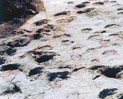 临夏刘家峡恐龙国家地质公园天气 临夏刘家峡恐龙国家地质公园天气