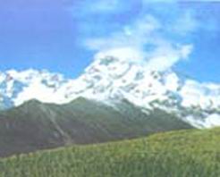 甘南郭札沟自然保护区天气 甘南郭札沟自然保护区天气