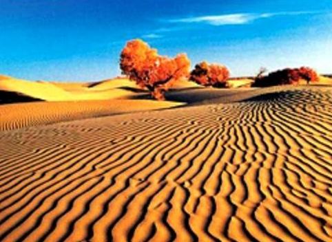 昌吉唐明墩古城天气 昌吉唐明墩古城天气