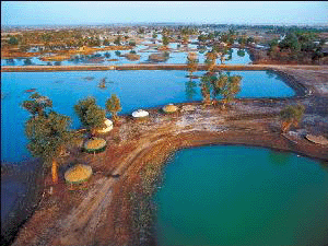 巴州巩乃斯森林公园天气 巴州巩乃斯森林公园天气