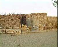 和田达里雅布依民俗村天气