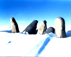 阿勒泰切木尔切克墓天气 阿勒泰切木尔切克墓天气