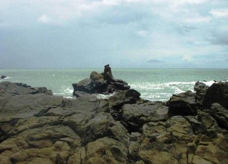 漳州林进屿南碇岛天气 漳州林进屿南碇岛天气