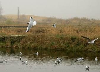 图木舒克山天气 图木舒克山天气
