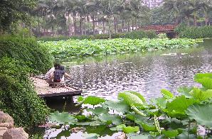 福州茶亭公园天气 福州茶亭公园天气