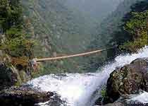 台江旗山国家森林公园天气 台江旗山国家森林公园天气