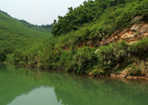 同安小坪森林公园天气 同安小坪森林公园天气