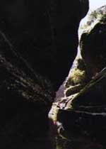 武夷山天心岩天气 武夷山天心岩天气