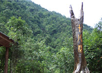 武夷山十八寨天气 武夷山十八寨天气