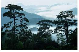 泉州永春牛姆林生态旅游区天气 泉州永春牛姆林生态旅游区天气