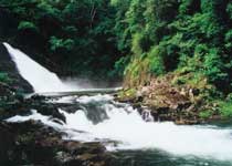 将乐龙栖山自然保护区天气 将乐龙栖山自然保护区天气