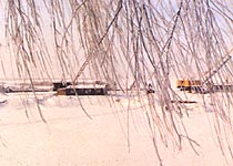 哈尔滨松花江天气 哈尔滨松花江天气