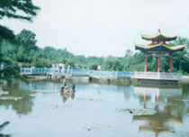 南岗一面坡国家森林公园天气 南岗一面坡国家森林公园天气