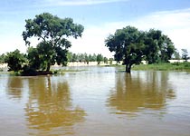 齐齐哈尔明月岛风景区天气 齐齐哈尔明月岛风景区天气