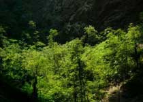 牡丹江地下森林天气 牡丹江地下森林天气