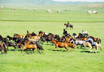 杜尔伯特靠山草原天气 杜尔伯特靠山草原天气