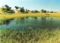 大庆石器时代遗址天气 大庆石器时代遗址天气