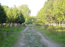 大庆世界石油文化公园天气 大庆世界石油文化公园天气