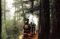 伊春南山森林公园天气 伊春南山森林公园天气