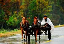 伊春回龙湾度假村天气 伊春回龙湾度假村天气