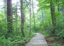 伊春溪水国家森林公园天气 伊春溪水国家森林公园天气