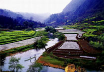 嫩江高峰森林公园天气 嫩江高峰森林公园天气