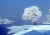 吉林雾凇岛天气 吉林雾凇岛天气