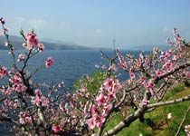 宽甸河口景区天气 宽甸河口景区天气