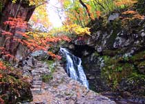 凤城蒲石河森林公园天气 凤城蒲石河森林公园天气